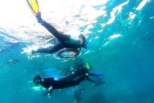 Family Snorkeling at the Medes Island - Paddle in Spain | Water ...